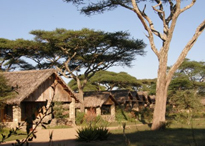 Authentic Zanzibar